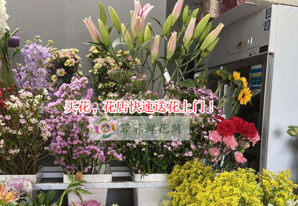 保定安新县买花,保定安新县花店快速送花上门!