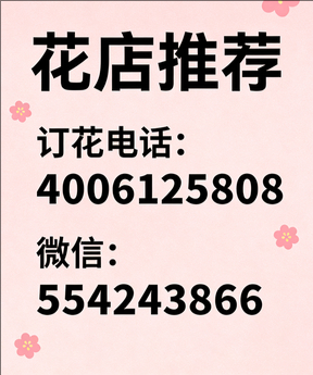 保定安新县花店哪家好