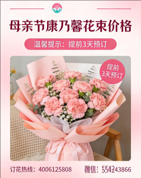 保定安新县花店母亲节康乃馨花束