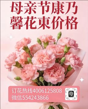 保定安新县花店母亲节康乃馨花束